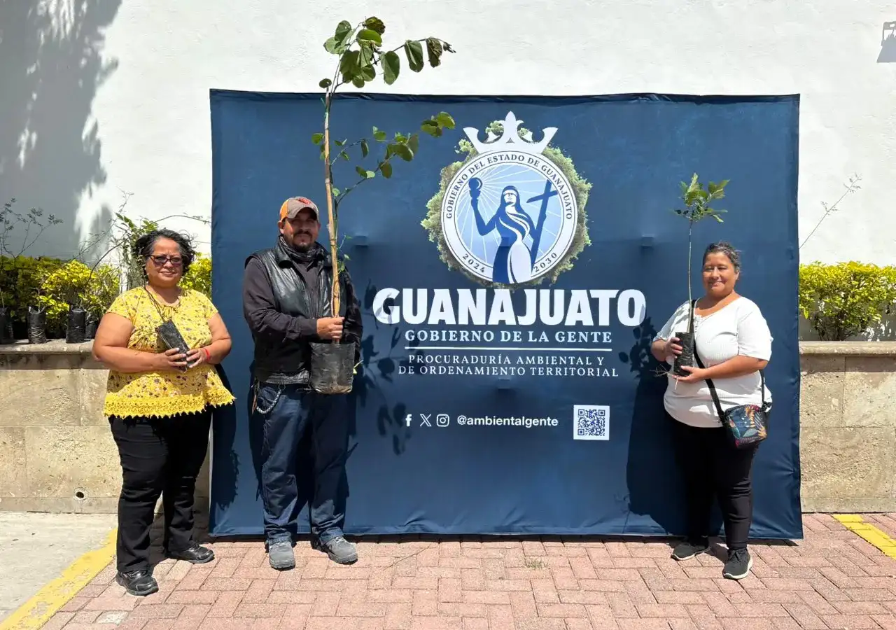 Árboles nativos de Guanajuato en macetas listos para adopción