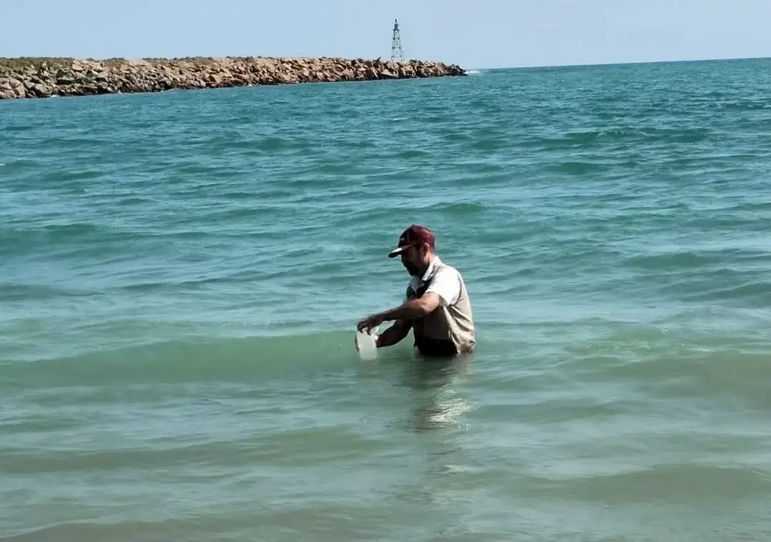 Bañistas en la playa Miramar, Tamaulipas, durante la temporada de verano