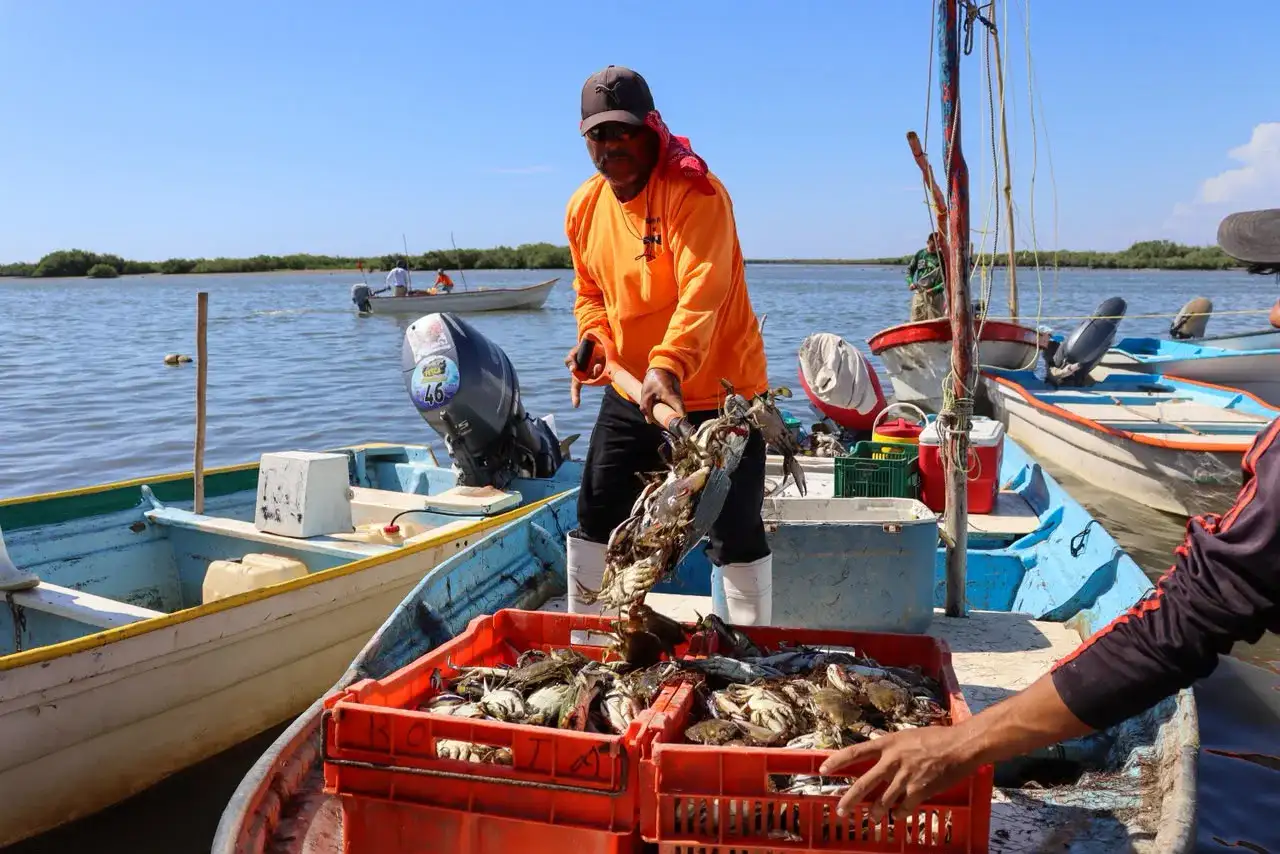 Pescadores preparan trampas para jaiba en un puerto de Sinaloa