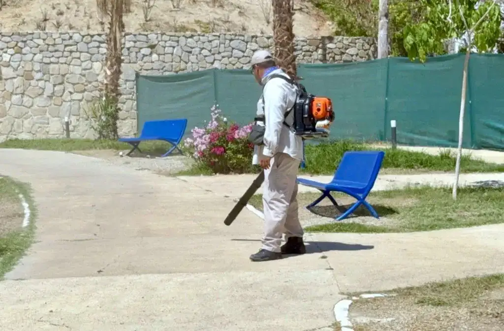 Trabajadores municipales realizan poda en parque de Los Cabos