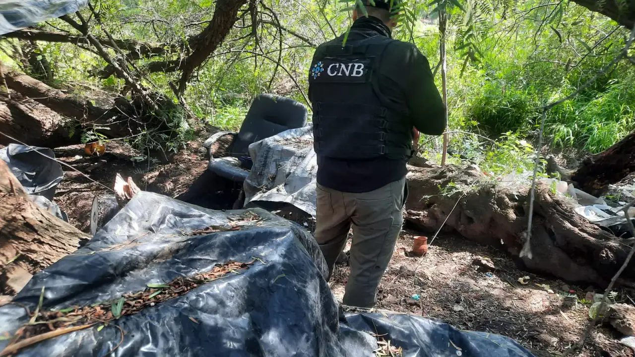 Personal de búsqueda y colectivos en una zona rural de Jerez, Zacatecas