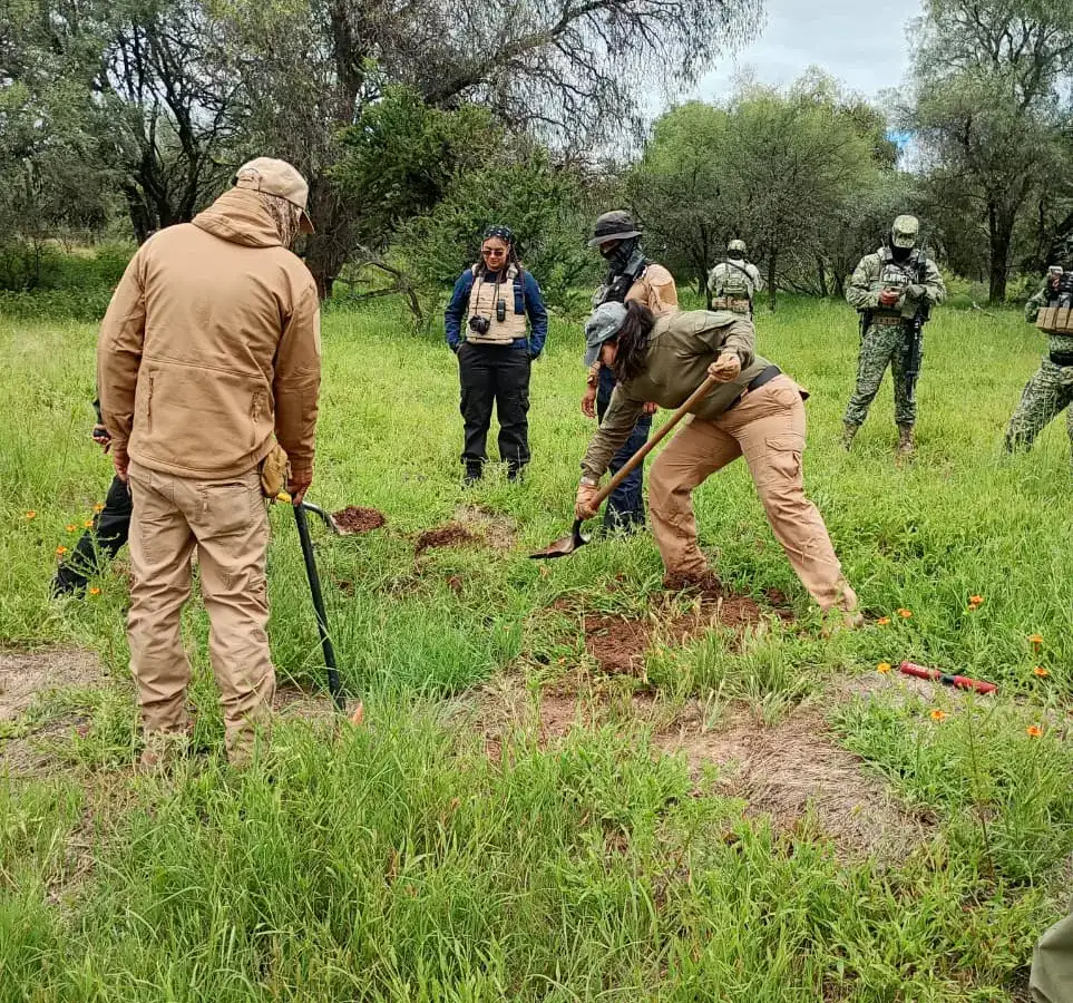 Terreno abierto en zona rural de Jerez durante un operativo de búsqueda