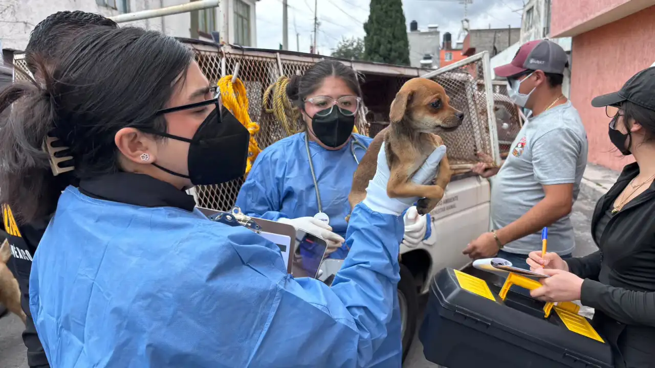 Autoridades durante un operativo de rescate animal en un domicilio de Toluca