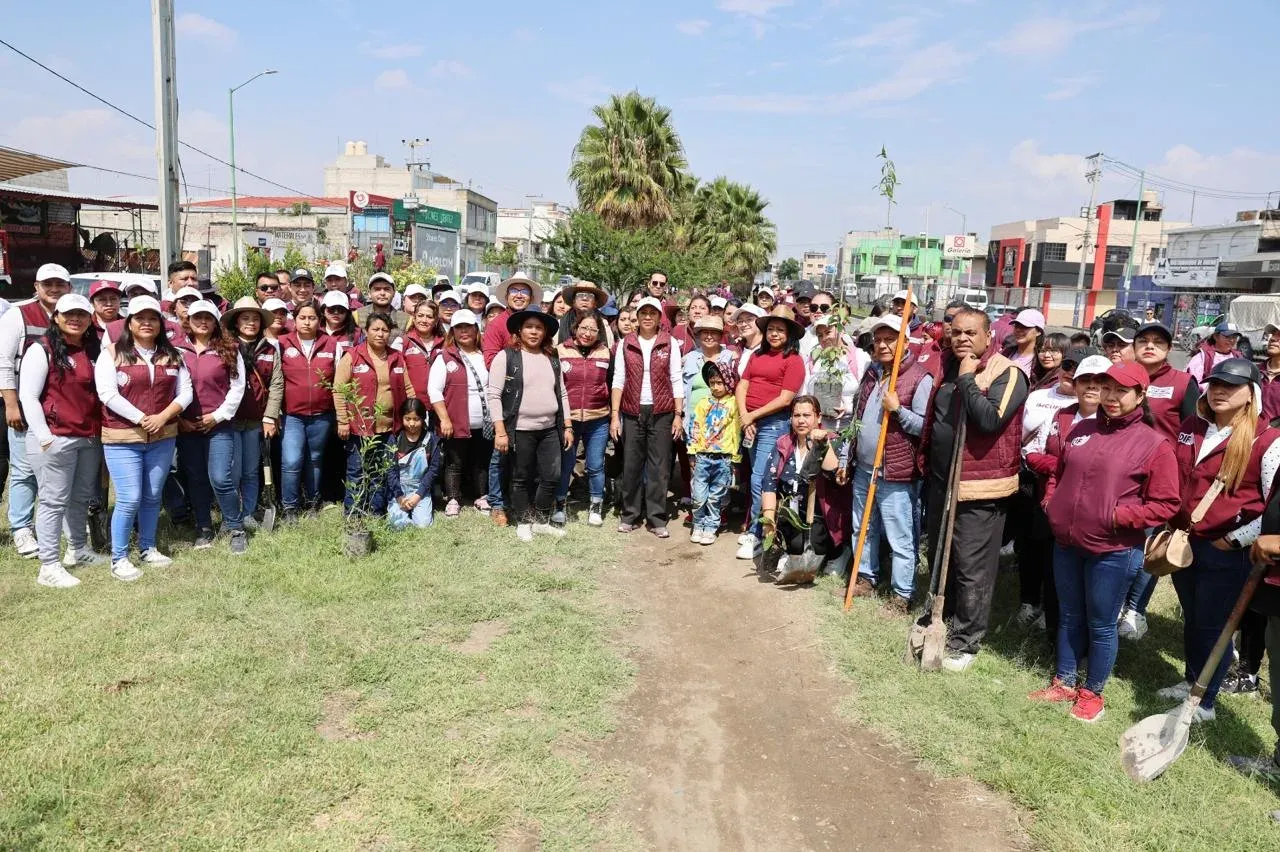 Personas plantando árboles en un camellón de Chimalhuacán