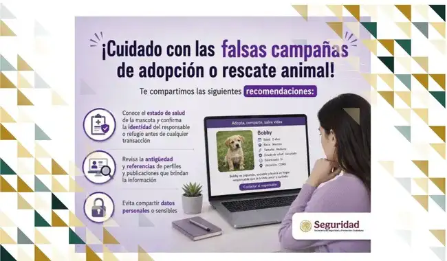 Persona con un perro en un refugio de animales
