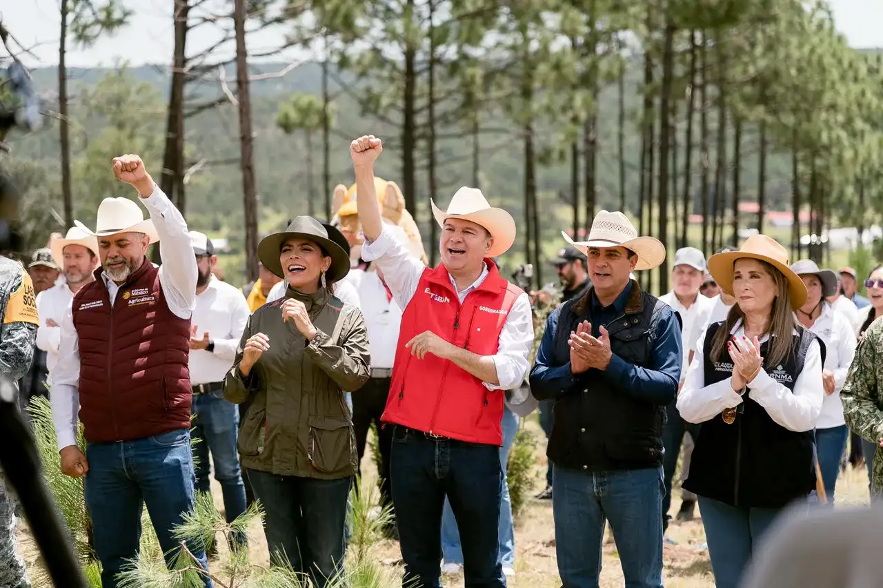 Personas plantando pinos en una zona forestal de Durango