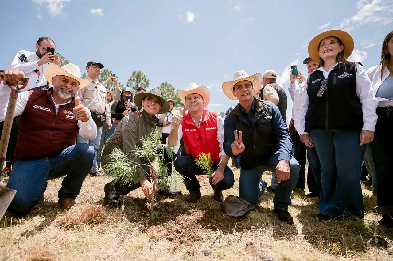 Bosques de Durango durante la Jornada Nacional de Reforestación