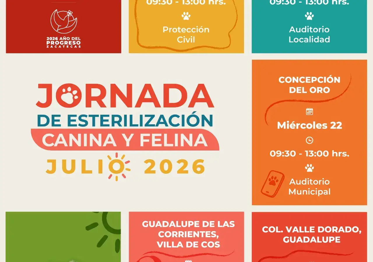 Perro y gato en clínica veterinaria durante campaña de esterilización