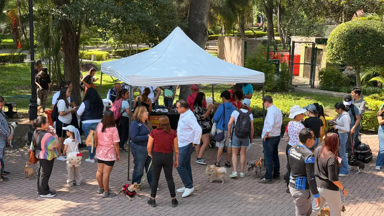 Personas con mascotas durante una feria de bienestar animal en Querétaro
