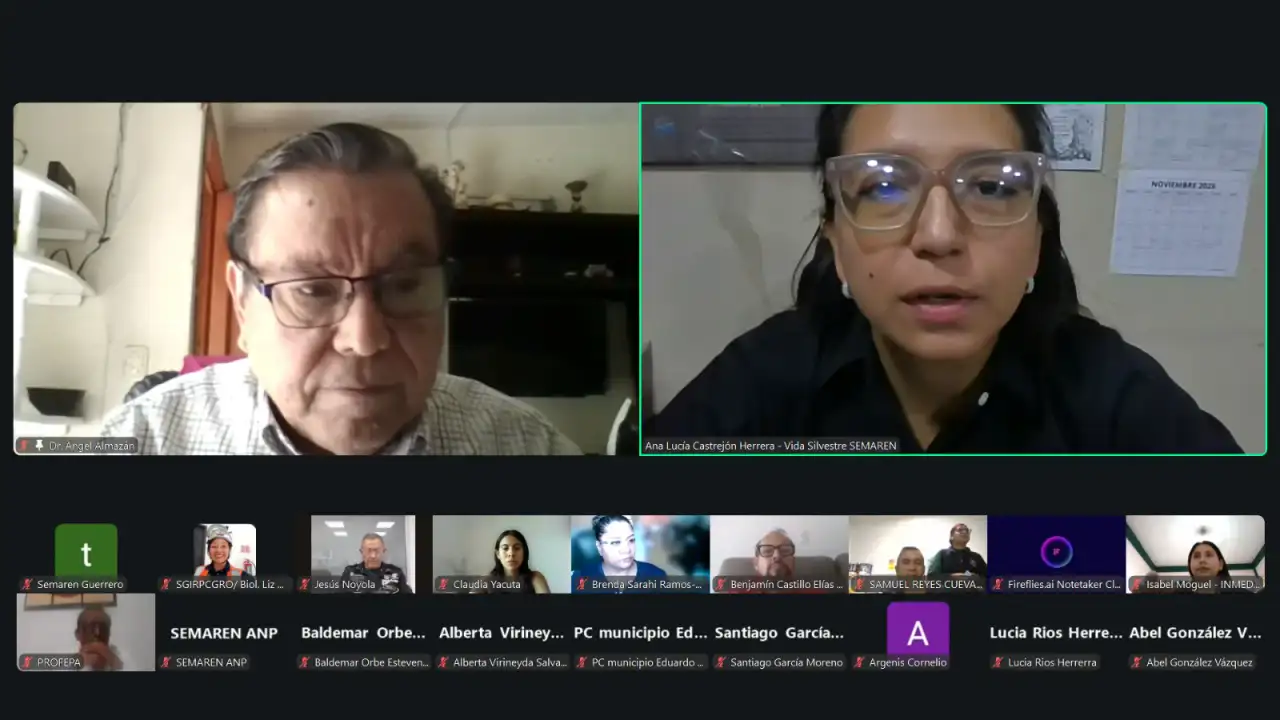 Representantes de instituciones durante una sesión de trabajo sobre fauna silvestre
