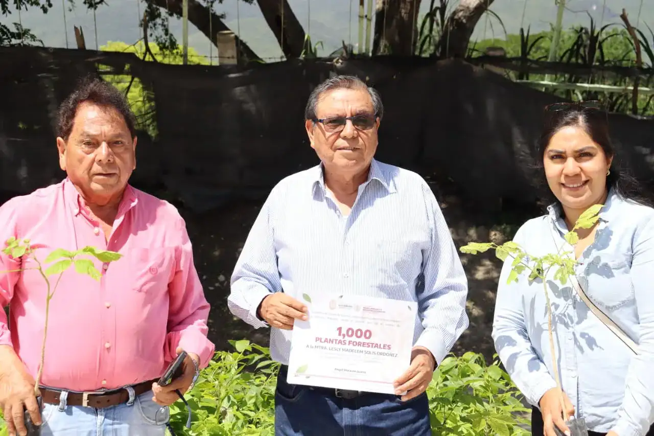 Entrega de plantas forestales en Guerrero
