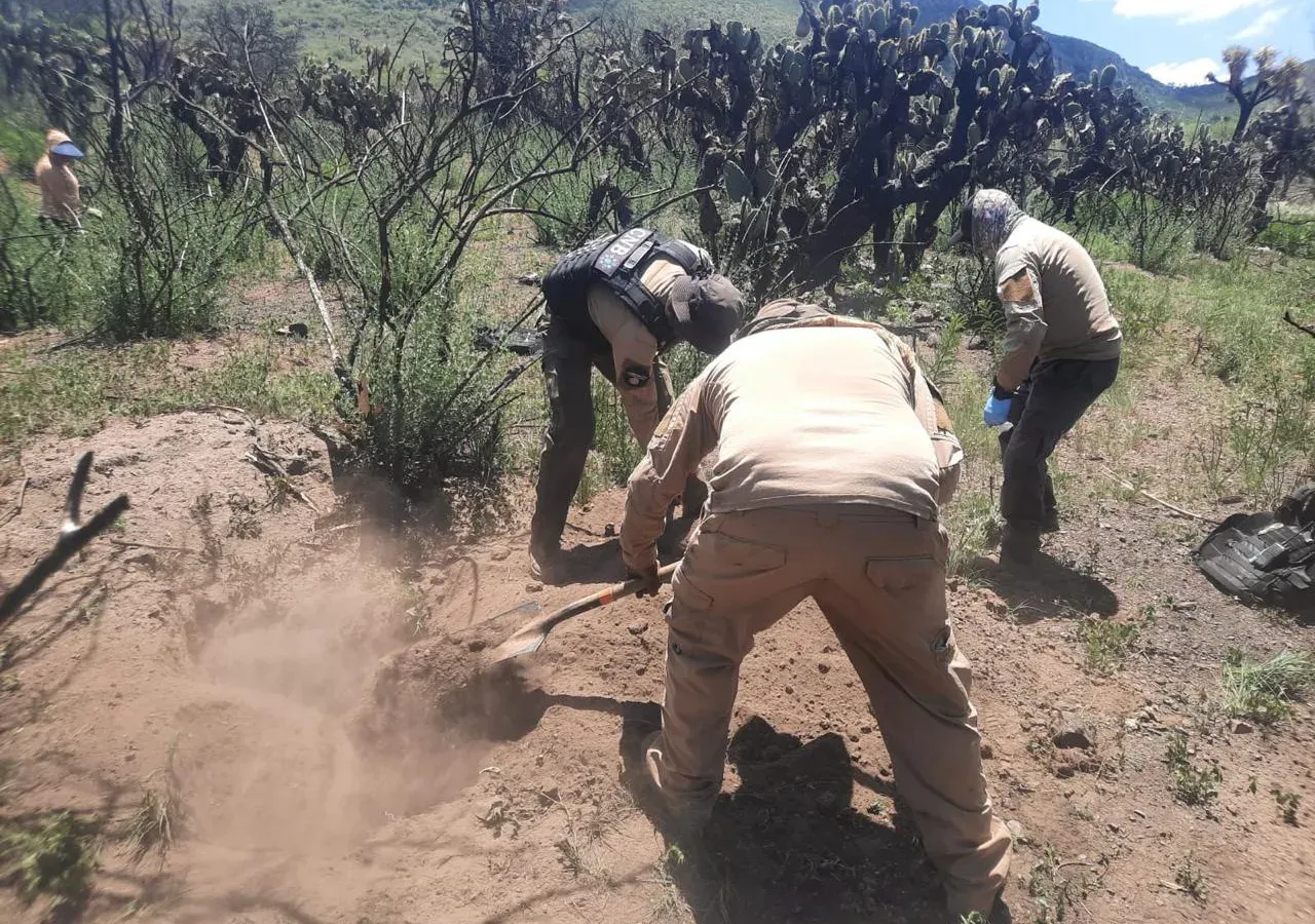 Personal de búsqueda y colectivos en un terreno durante la prospección en Luis Moya