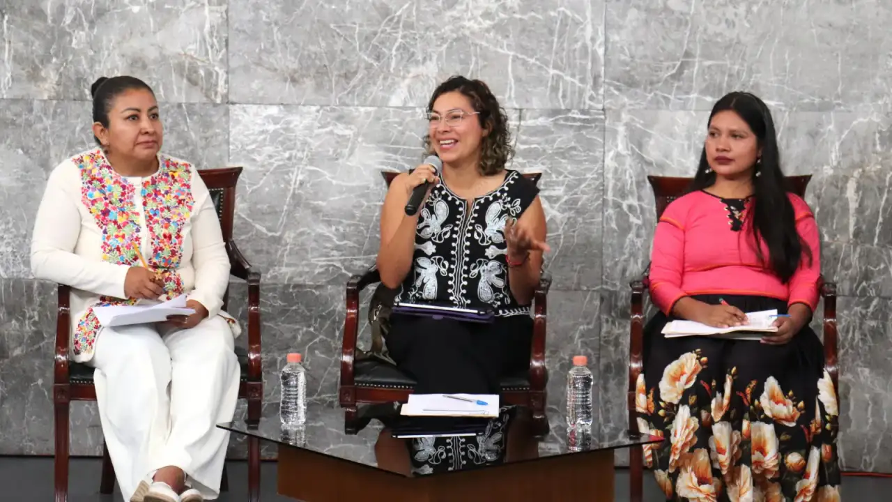 Mujeres indígenas y afromexicanas en un diálogo sobre derechos político-electorales