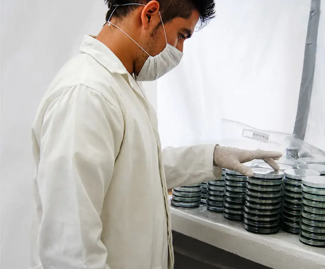Adrián González Castillo en laboratorio analizando muestras de bacterias acuáticas