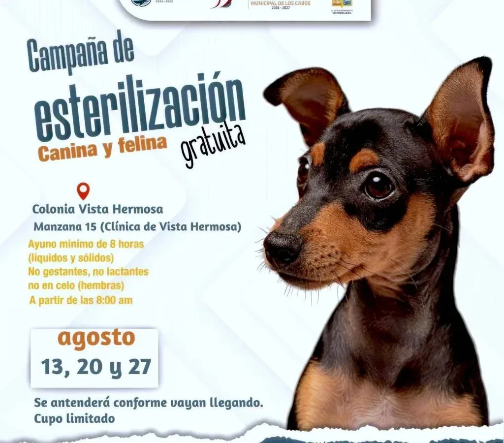 Personas con perros y gatos durante una jornada de esterilización en Los Cabos