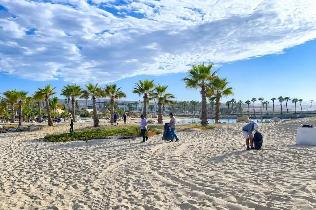 Personal de limpieza recolectando residuos en playa de Los Cabos