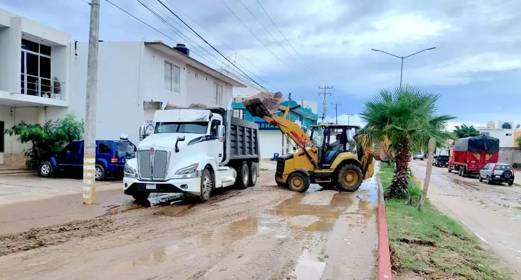 Cuadrilla de trabajadores repara una vialidad en San José del Cabo