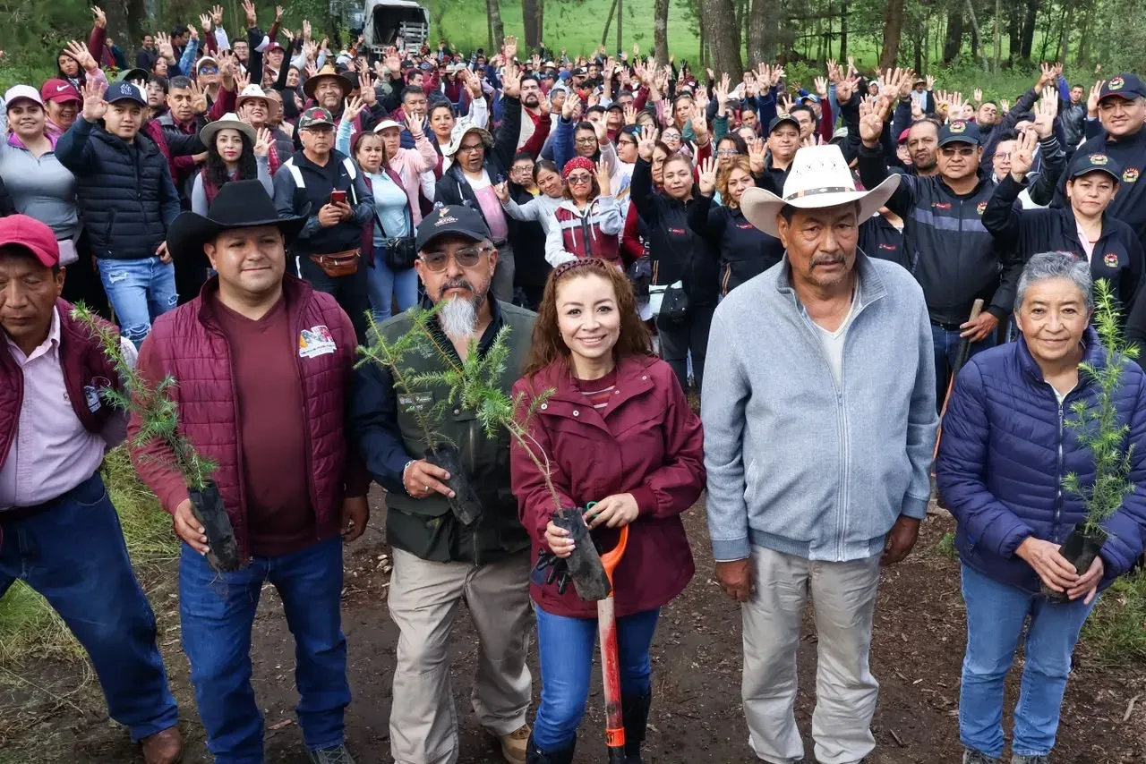 Personas plantando árboles en una zona boscosa durante la jornada de reforestación