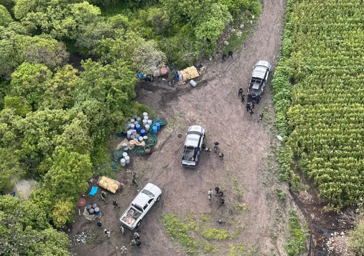 Elementos de seguridad revisan tambos y bidones asegurados en un operativo en zona serrana de Acámbaro.