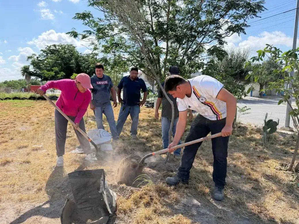 Árbol recién plantado en una calle de colonia Ventura en Reynosa