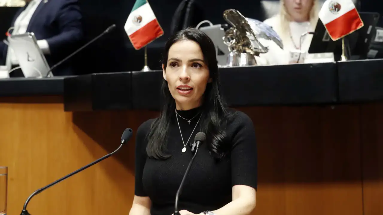 Senadora Laura Esquivel Torres durante una sesión en el Senado de la República