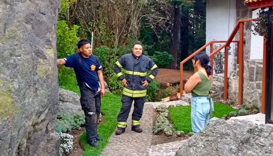 Zona boscosa de difícil acceso en las inmediaciones de Villa Alpina, Naucalpan