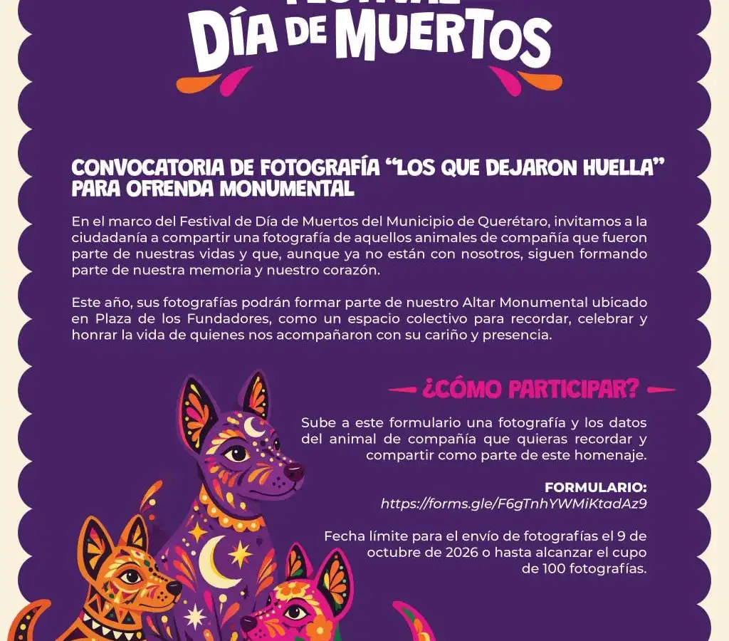 Personas observan una ofrenda monumental en una plaza pública durante el Día de Muertos