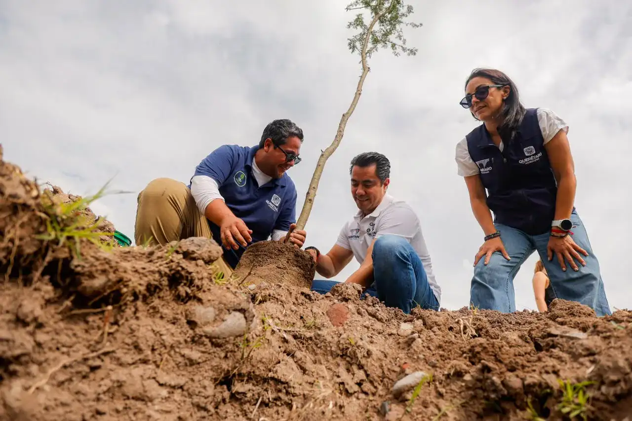 Voluntarios plantando árboles en el Parque La Queretana, Querétaro.