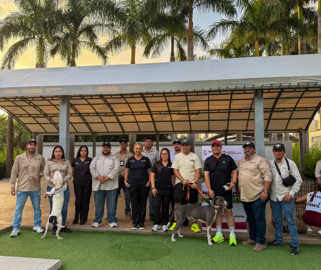 Personas haciendo ejercicio al aire libre durante evento Move for Paws en Reynosa