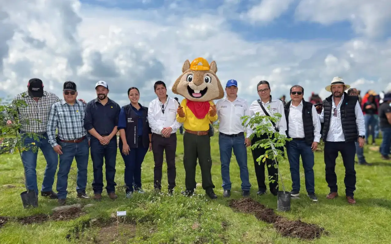 Voluntarios plantando árboles en zona cerril de San Miguel de Allende, Guanajuato