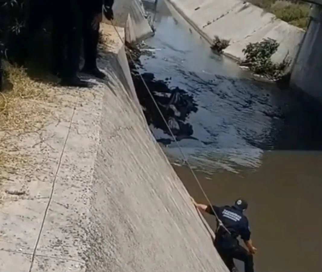 Elementos de seguridad durante el rescate de un perro en un canal de aguas negras
