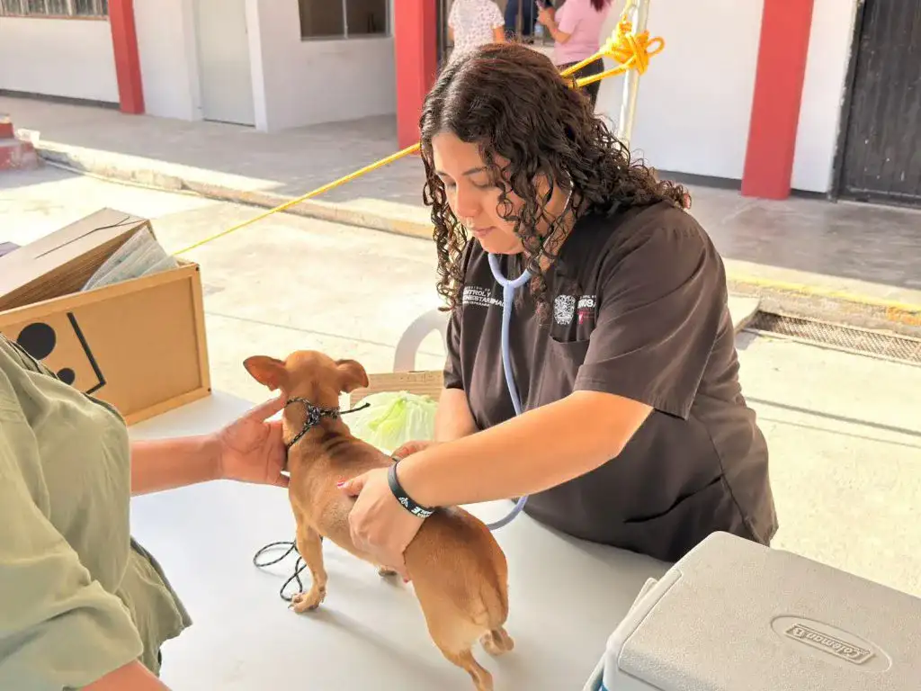 Personas con sus mascotas durante jornada de atención veterinaria en Reynosa