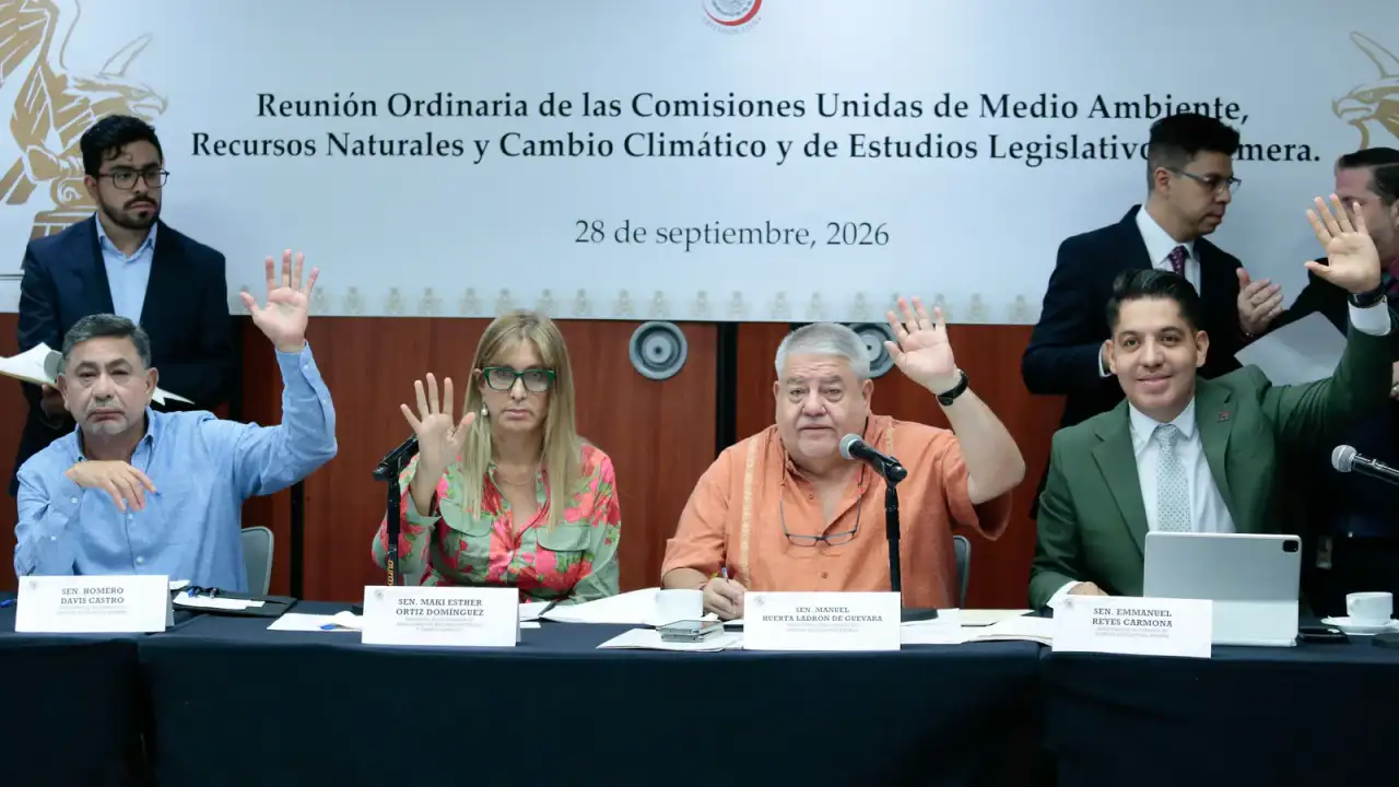 Sesión de comisiones del Senado durante la aprobación del dictamen sobre protección animal