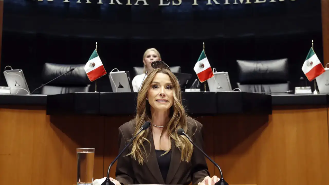 Sesión legislativa en el Senado de la República durante la presentación de un punto de acuerdo