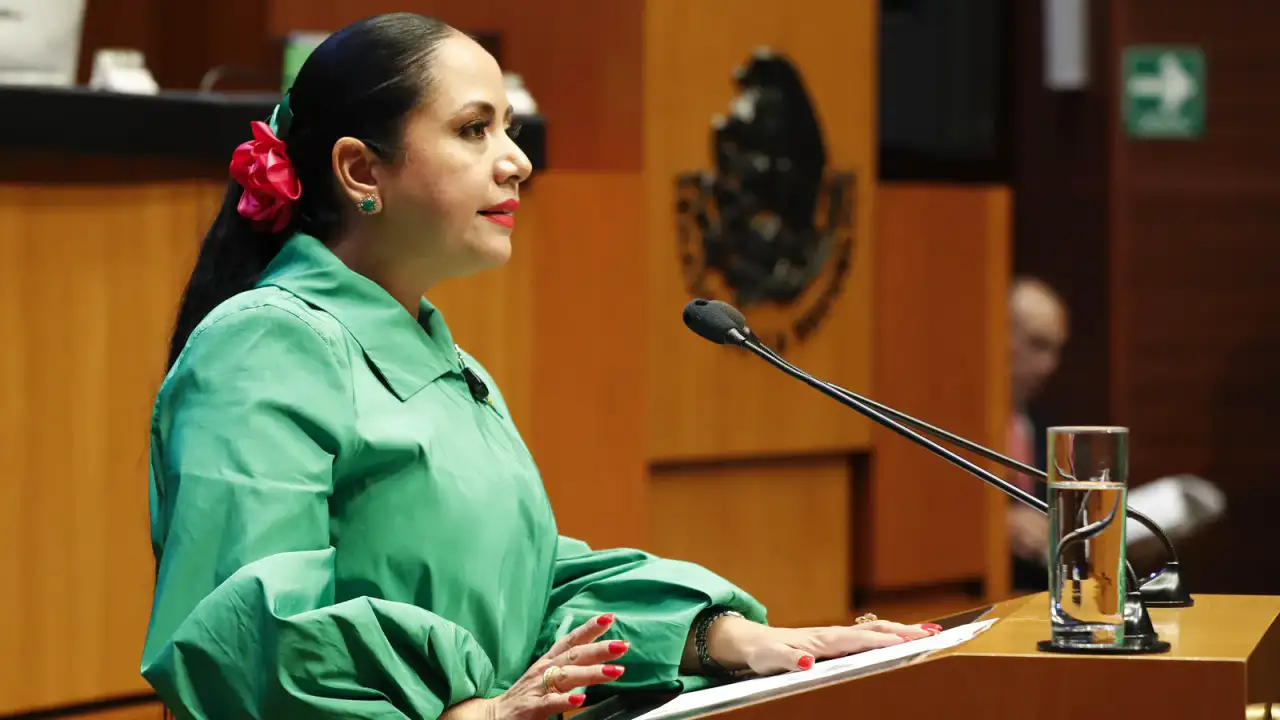 Senadora durante una intervención en el Senado de la República