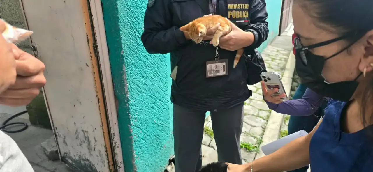 Animales resguardados por el Centro de Control y Bienestar Animal de Toluca