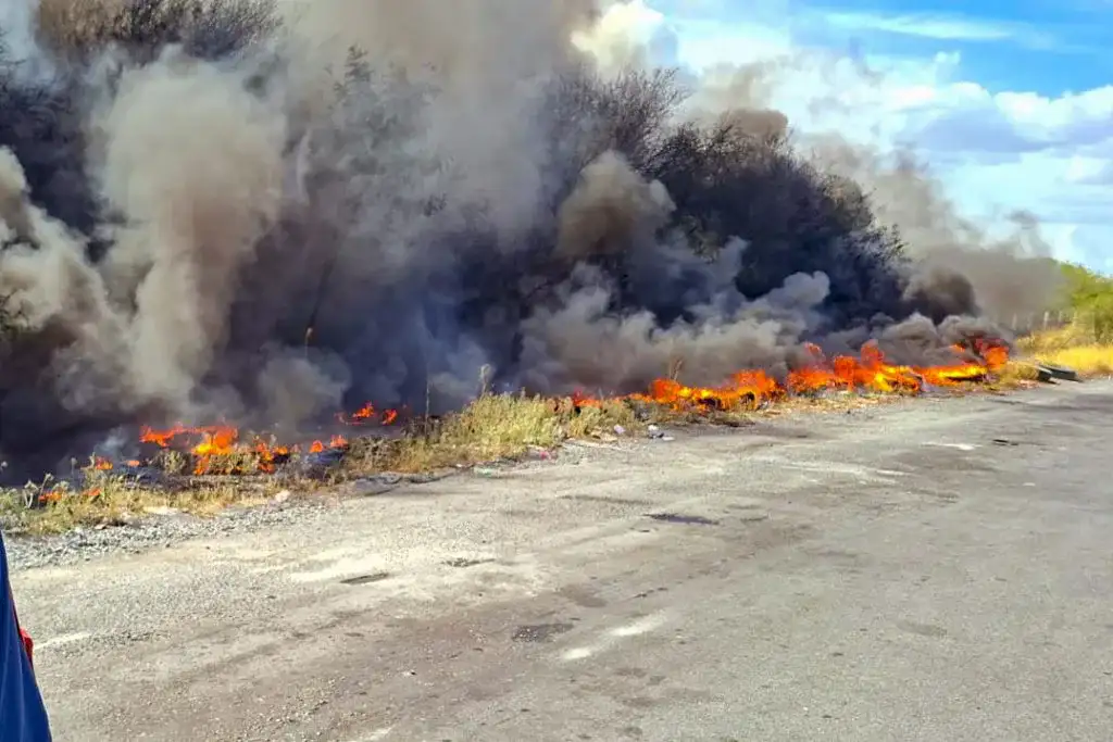 Bomberos de Reynosa combatiendo un incendio en pastizales