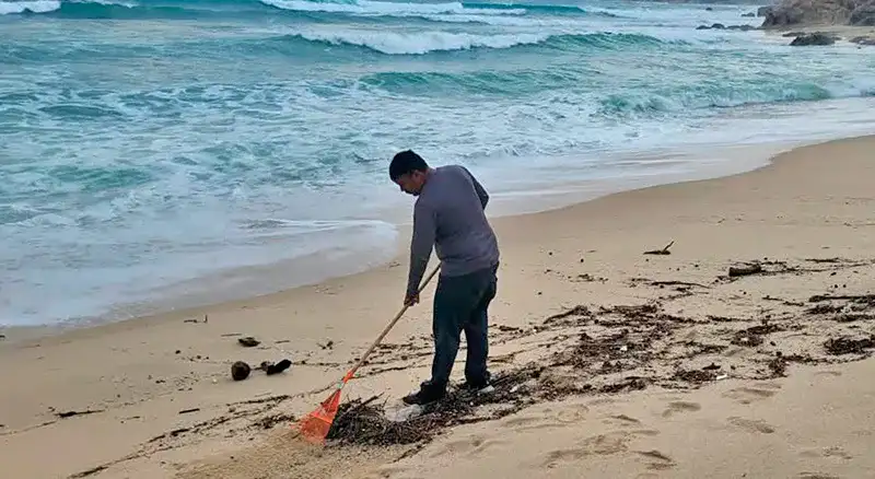 Personal de salud toma muestras de agua de mar en una playa de Baja California Sur
