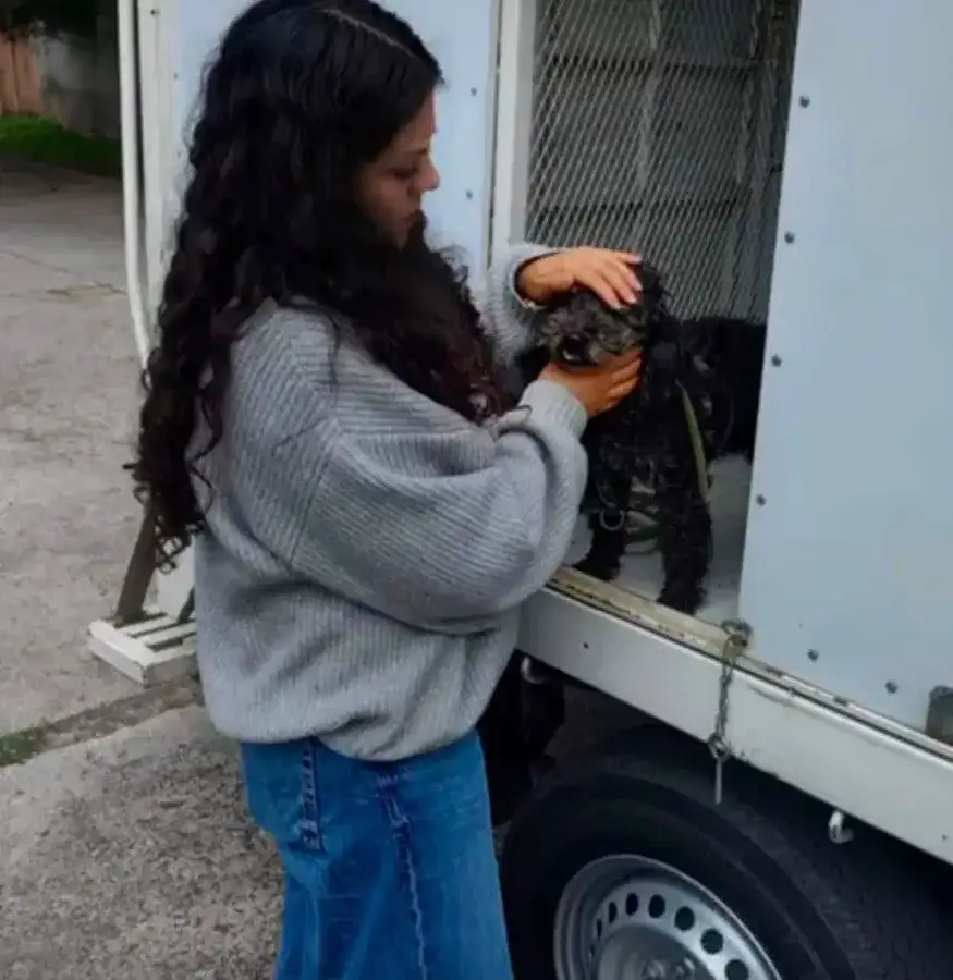 Perrito maltés extraviado reunido con su dueña en Cuautitlán Izcalli