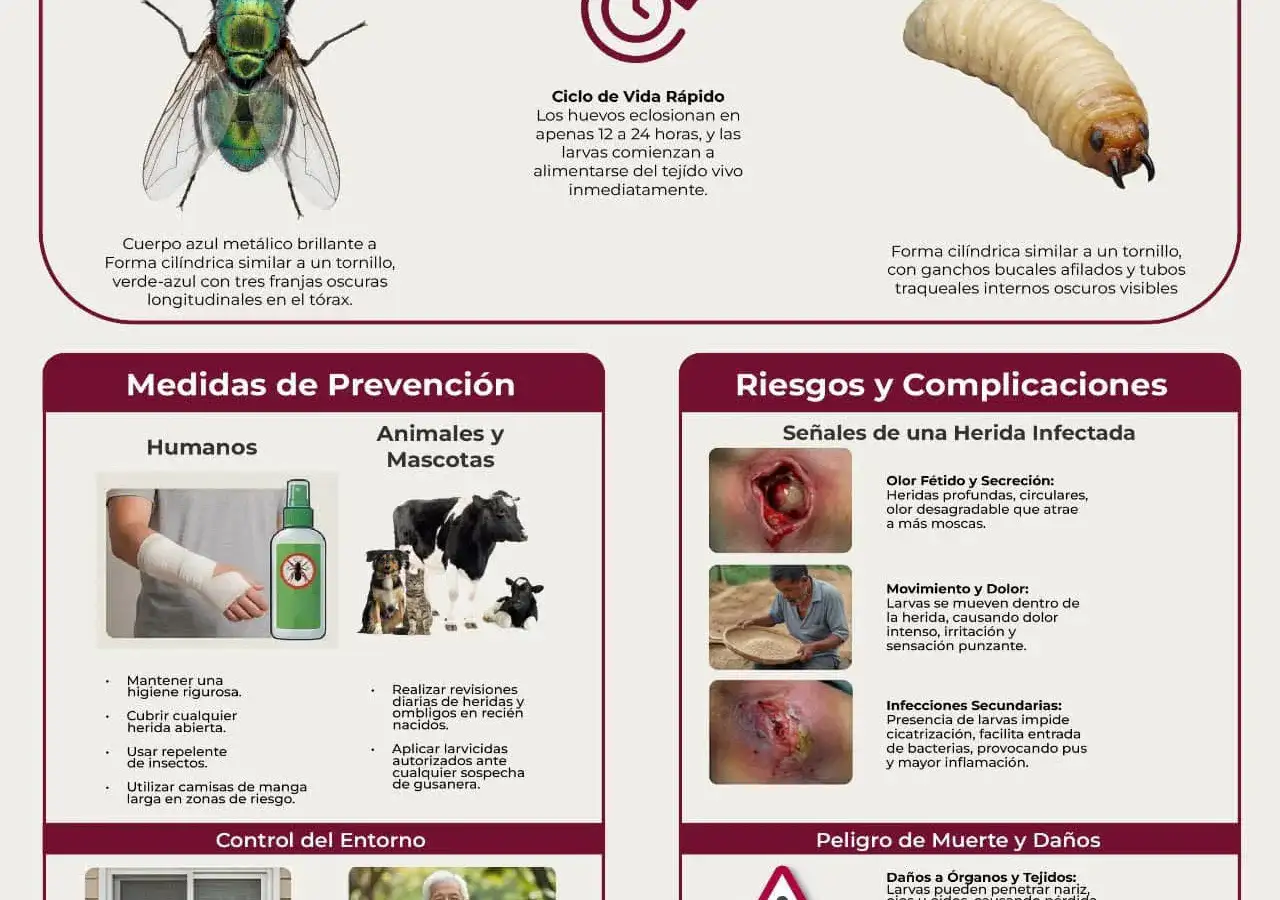 Fotografía de archivo de la Secretaría de Salud de Zacatecas