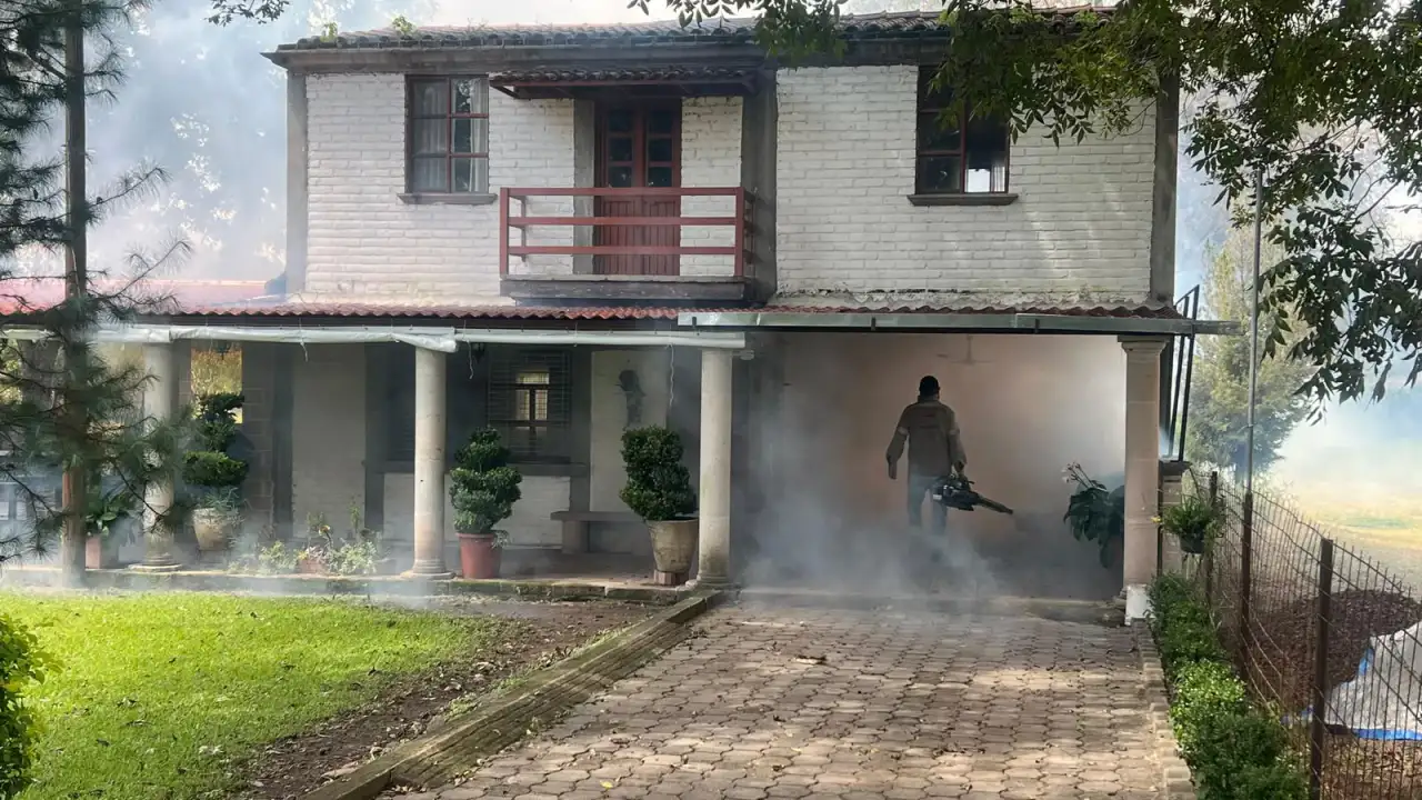 Mosquito Aedes Aegypti transmisor del dengue posado sobre la piel