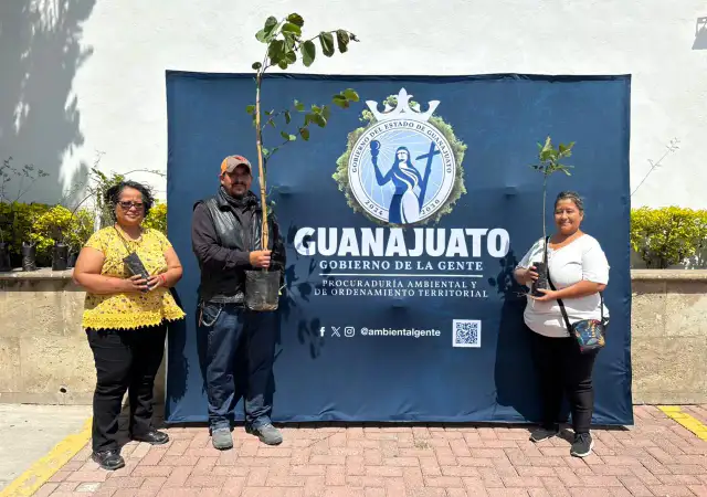 Árboles nativos de Guanajuato en macetas listos para adopción