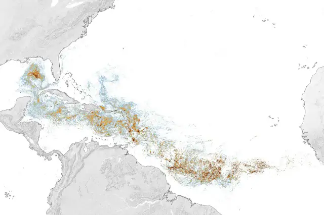 Mapa de densidad de sargazo en el Atlántico tropical en junio de 2026 mostrando altas concentraciones