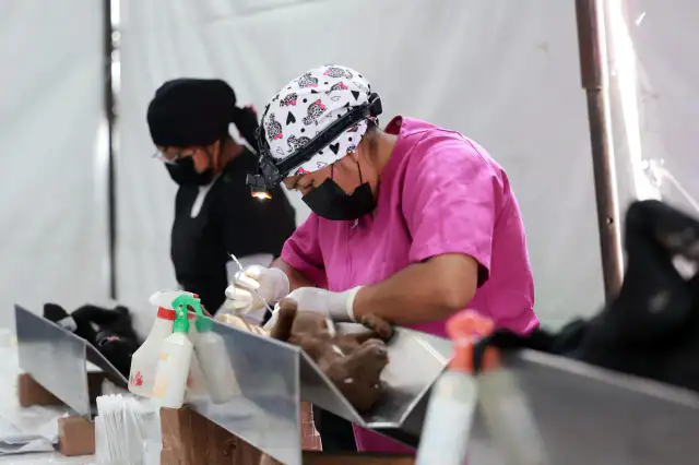 Personas con sus mascotas durante una jornada de esterilización en Chimalhuacán