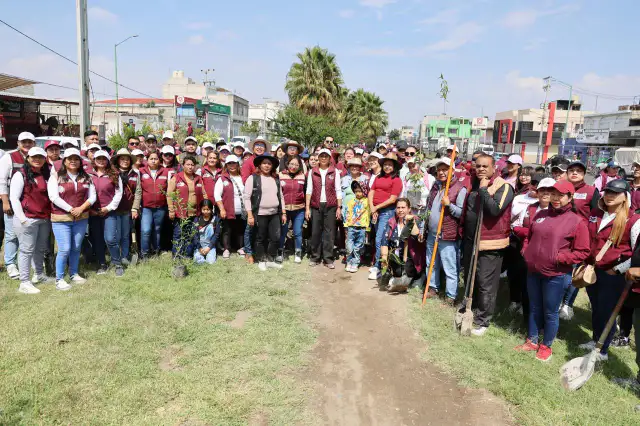 Personas plantando árboles en un camellón de Chimalhuacán