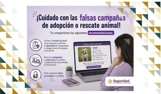 Persona con un perro en un refugio de animales