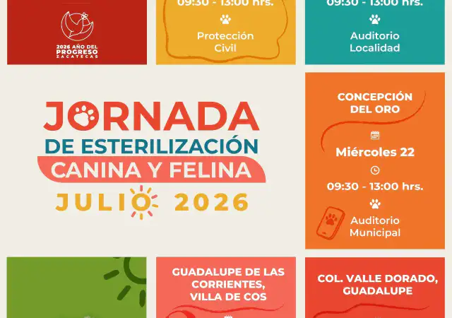 Perro y gato en clínica veterinaria durante campaña de esterilización