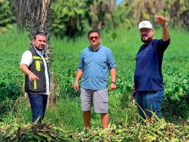 Recorrido de supervisión en el Estero San José del Cabo, Baja California Sur