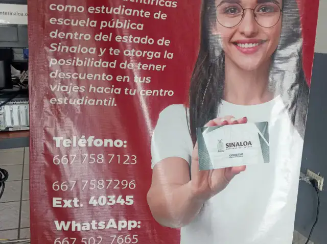 Tarjetas inteligentes de identidad estudiantil sobre fondo blanco