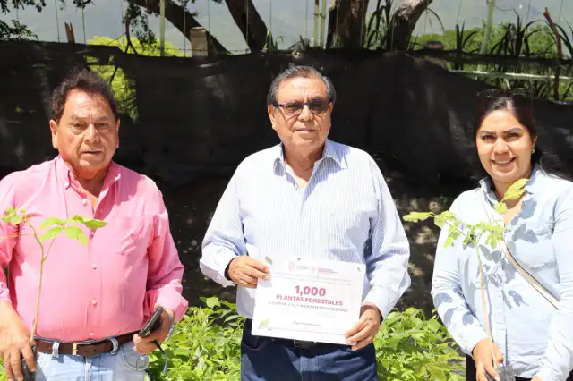 Entrega de plantas forestales en Guerrero